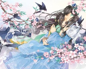 丝瓜黄瓜茄子秋葵草莓榴莲绿巨人